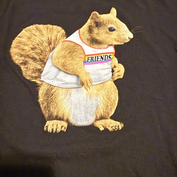Squirrel Peanut Friends Pride T-Shirt - Men’s Large - Picture 2 of 3